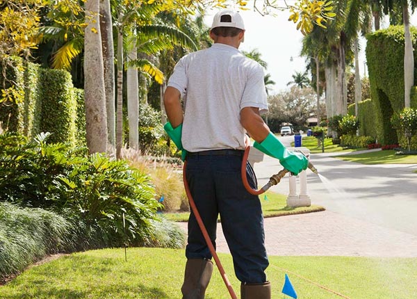 About Wauregan CT Pest Control Pros